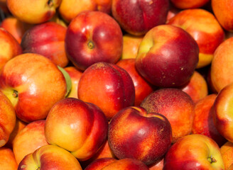 Naklejka na ściany i meble Peach (Prunus persica), (the glossy-skinned, non-fuzzy varieties), nectarines. Fruit trading platform.