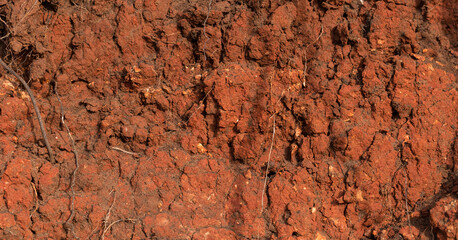Sedimentary rocks with a high content of iron oxide. Red soil, loam. The texture of the soil.