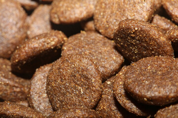 Dogs dry round food close up animals eating background high quality big size print