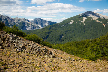 Volcano Tronador and glaciers of Alerce and Castano Overa on sunny day. Patagonia, Argentina