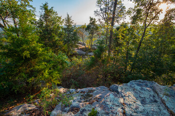 Sunlight streaming through the branches atop a rocky mountain.