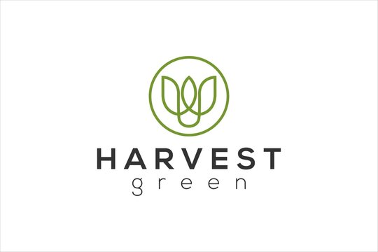 Green leaves logo icon harvest farming illustration symbol agricultural