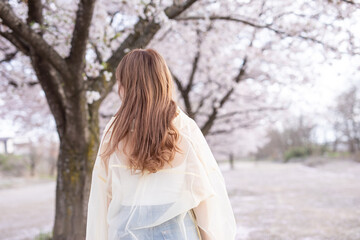 春の風を感じる女性　Cherry Blossoms
