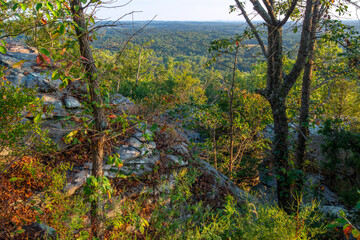 View of forested valley from a rocky mountain top with colors of Autumn