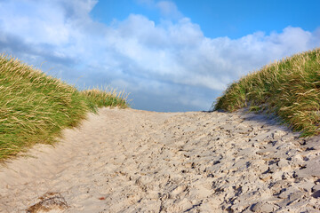 Closeup of a sand path with lush green grass growing on the west coast beach of Jutland, Denmark....