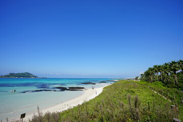 seaside pathway and seascape