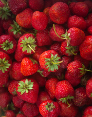 strawberries on the market