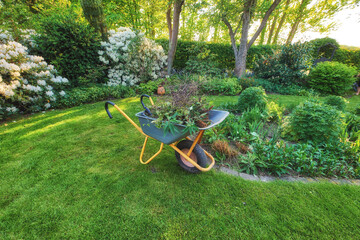 Wheelbarrow on a perfect green lawn in a cultivated country garden used for garden work....