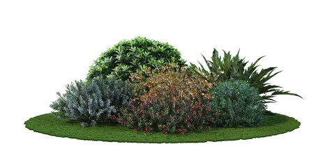 Garden with shrub on white background