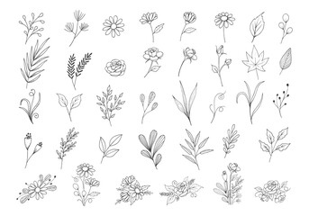 Wildflower botanical collection with outline style, hand drawn individual and arrangements floral clipart, leaves, rose, daisy flower, foliage, flower bouquet vector illustration.