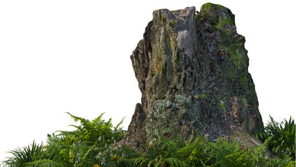 The garden is decorated with logs on a white background.