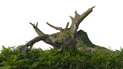 The garden is decorated with logs on a white background.