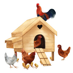 Chicken coop, rooster, hens and chicks isolated on white background. Watercolor illustration of a poultry yard scene. Clipart of a chicken family and a henhouse.