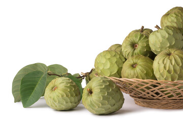 Fototapeta premium cherimoya, annona cherimoya, cone shaped edible fruit also known as custard apple or sugar apple, sweet taste tropical fruit in basket with leaves isolated on white background with scattered fruits