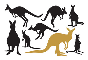 Collection of kangaroo Vector. Kangaroo Illustration on the white background.