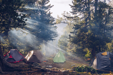 Camping tents in forest. Tourism concept, outdoors leisure. Life in a tent. Pine trees grove camping place stock photo