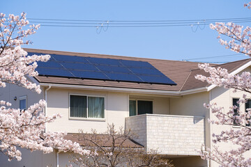 桜の花とソーラーパネルのある家　太陽光　発電　エコシステム