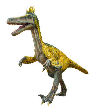 Austroraptor is a genus of dromaeosaurid theropod dinosaur that lived during the Late Cretaceous Period, Austroraptor isolated on white background with clipping path