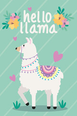 llama with lettering