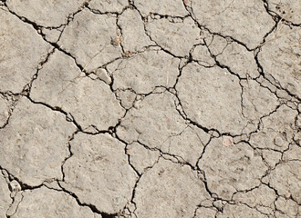 Arid cracked ground. Global warming and climate change concept.