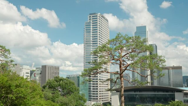 Beautiful White Clouds Passing Over COEX World Trade Center Seoul With Tall Pine Tree In Foreground