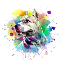Foto op Plexiglas abstract colored dog muzzle isolated on colorful background © reznik_val