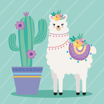 llama with cactu houseplant