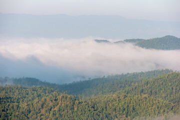 Foggy early morning autumn mountains forest scene. Seasonal, nature and countryside beauty green concept scene in Thailand.
