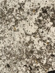 a light stone surface with many dark spots