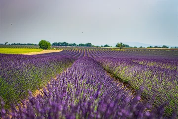 Tuinposter Paysage du verdon, France © ON-Photographie