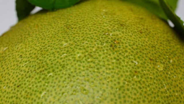 Green grapefruit texture close-up video