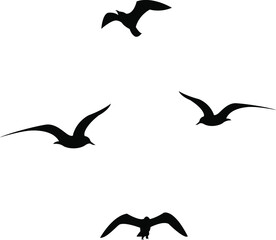 Set of black flying seagull silhouettes on white background.