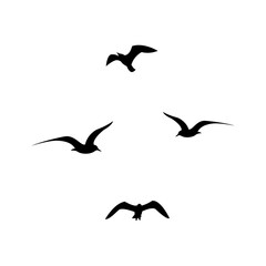 Set of black flying seagull silhouettes on white background.