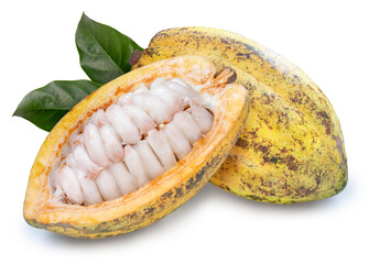 Fresh cocoa fruits isolated on white background, Fresh cocoa beans on White Background With work...