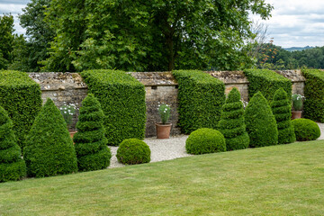 Fototapeta na wymiar Topiary yew hedges at Bourton House gardens, Morton in Marsh. market town in the Cotswolds, Gloucestershire, England, uk