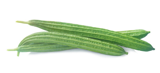 Three fresh green sponge gourd fruits isolated on white background with clipping path