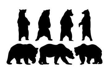Bears. Black and white illustrations isolated.