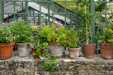 Flowerpots at Bourton House gardens, Morton in Marsh. market town in the Cotswolds,  Gloucestershire, England, uk