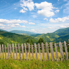 rural mountain landscape in summer. vacation in carpathian countryside. grassy meadows and forests on rolling hills beneath a blue sky with fluffy clouds on a sunny day