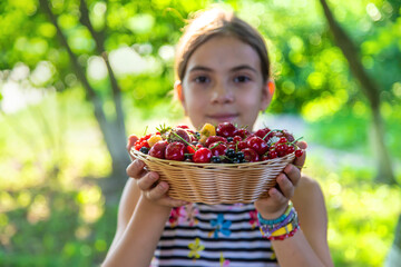 The child eats berries in the garden. Selective focus.