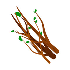 Collecting firewood semi flat color vector object. Picking up small twigs for fire. Full sized item on white. Campfire simple cartoon style illustration for web graphic design and animation