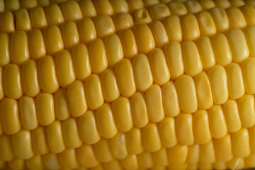 Close up of the fresh corn