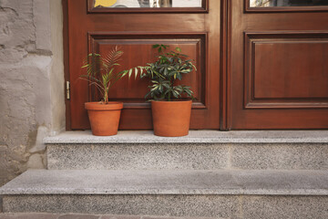 Fototapeta na wymiar Pots with plants near wooden doors outdoor