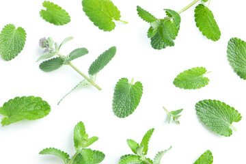 Concept of aromatherapy, mint isolated on white background