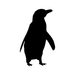 Penguin Silhouette Vector