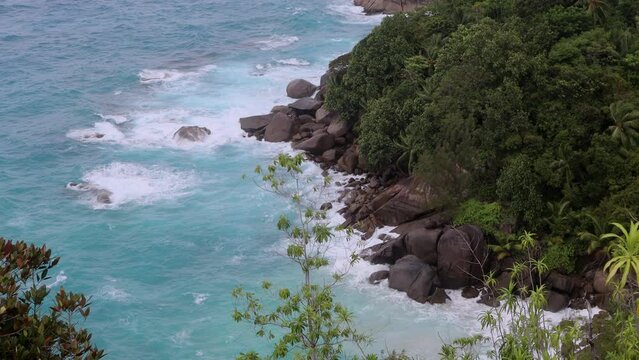 Nature of the Anse Major Trail trekking route, Seychelles