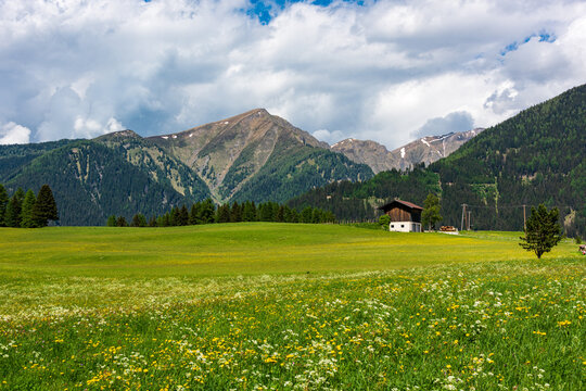 Eine satte Almwiese mit gelben Blumen und Berge am Rande einer Landstra&szlig;e in den Alpen