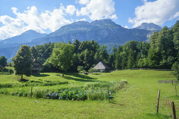 idyllic scenery in Switzerland Alps with wooden farm houses