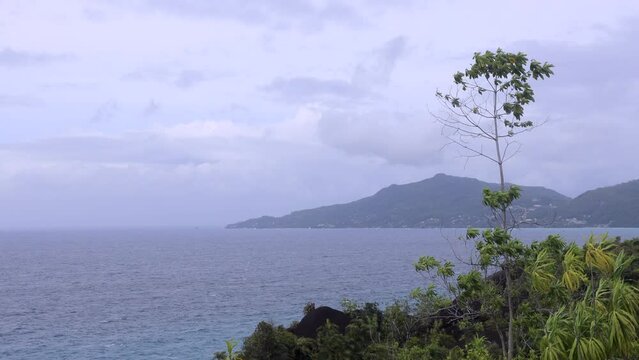 Nature of the Anse Major Trail trekking route, Seychelles