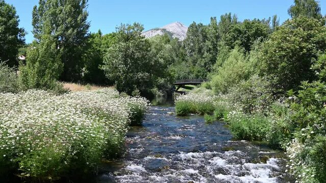El r&iacute;o Carri&oacute;n de agua cristalina cerca de su nacimiento en pleno parque natural de la monta&ntilde;a Palentina, Espa&ntilde;a